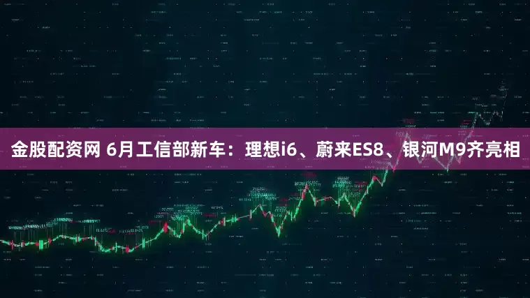 金股配资网 6月工信部新车：理想i6、蔚来ES8、银河M9齐亮相