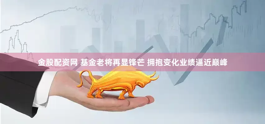 金股配资网 基金老将再显锋芒 拥抱变化业绩逼近巅峰