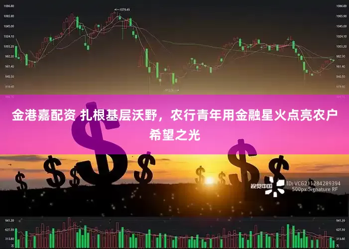 金港嘉配资 扎根基层沃野，农行青年用金融星火点亮农户希望之光