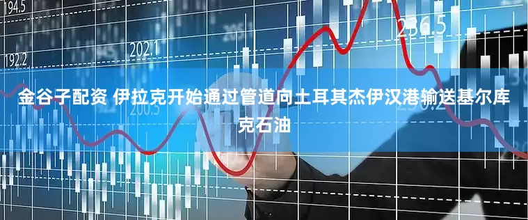 金谷子配资 伊拉克开始通过管道向土耳其杰伊汉港输送基尔库克石油