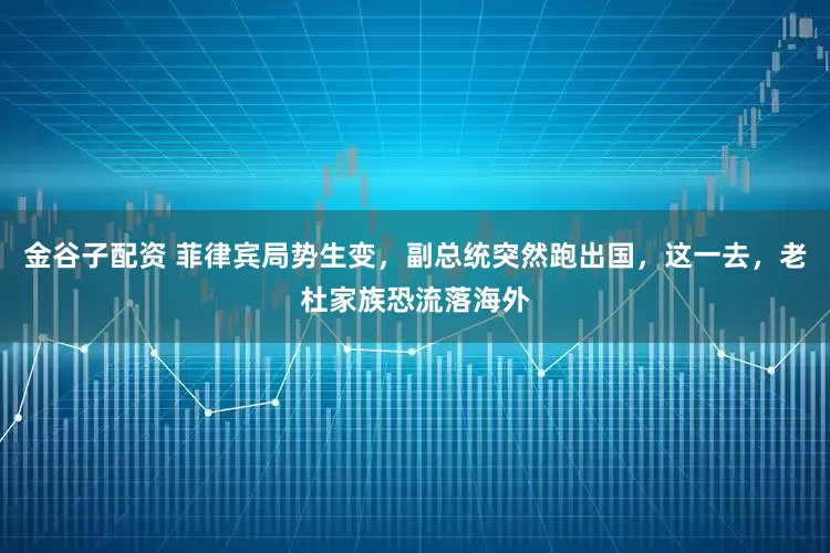 金谷子配资 菲律宾局势生变，副总统突然跑出国，这一去，老杜家族恐流落海外