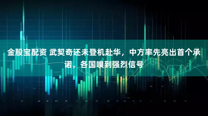 金股宝配资 武契奇还未登机赴华，中方率先亮出首个承诺，各国嗅到强烈信号