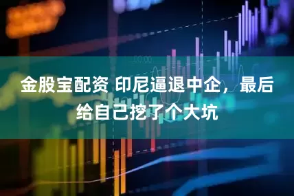 金股宝配资 印尼逼退中企,最后给自己挖了个大坑